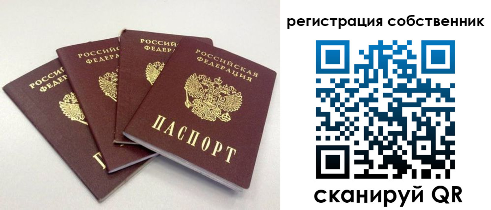прописка для школы в Кропоткине